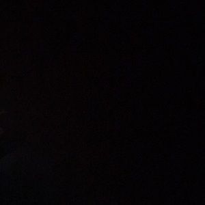 Meet your Posher, Bryan